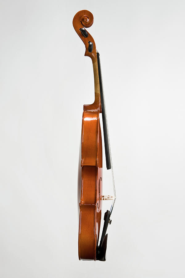 Side View Of A Violin Photograph by Caspar Benson