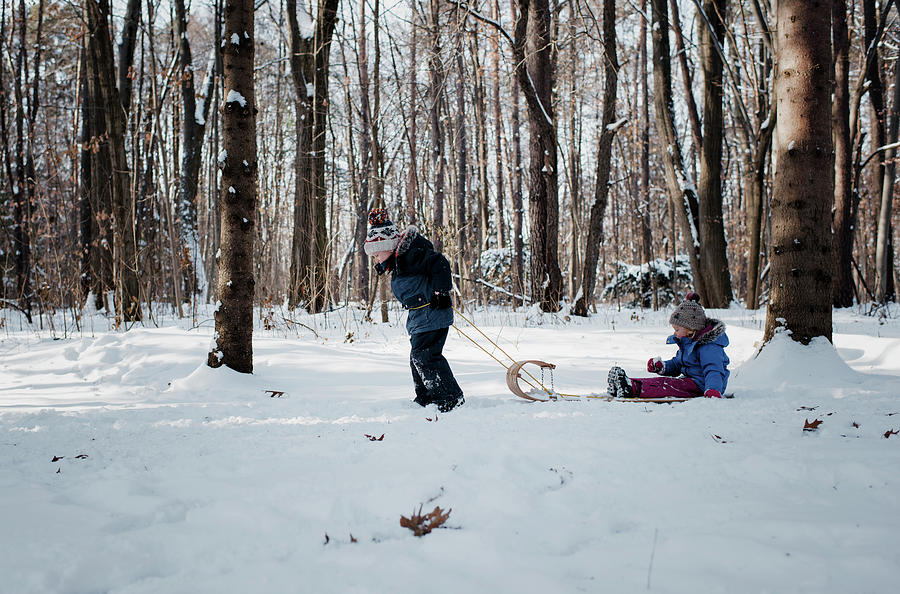 Winter Photograph - Side View Of Brother Pulling Sister Sitting On Sled In Forest During Winter by Cavan Images