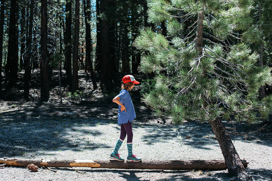 Tree Photograph - Side View Of Girl Standing On Tree Trunk At Inyo National Forest by Cavan Images
