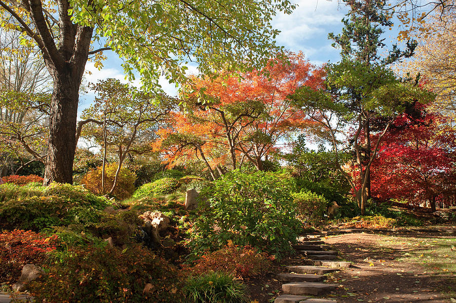 Sidewalk Through Japanese Garden Photograph by Jenny Rainbow