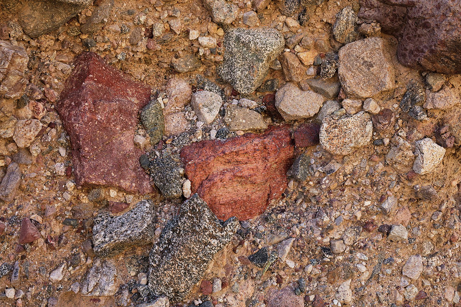 Sidewinder Canyon Detail Photograph by Tom Daniel