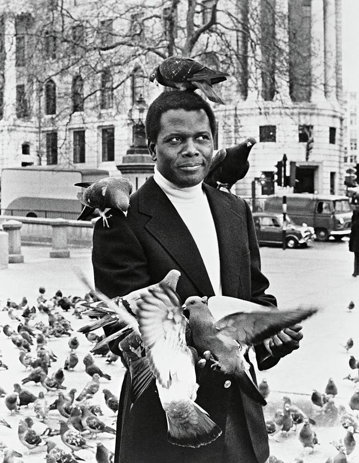 SIDNEY POITIER in A WARM DECEMBER -1973-. Photograph by Album