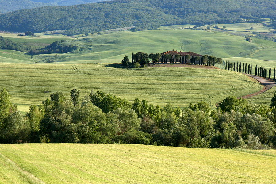 Siena Countryside Photograph by J.v.castro