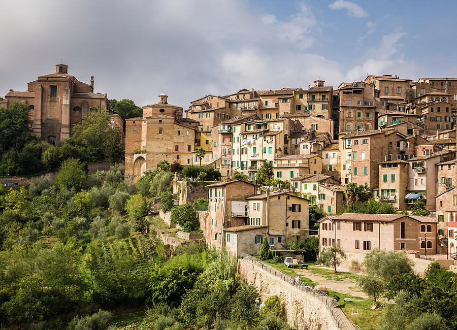 Siena Skyline With Orchards by Michael Rainwater