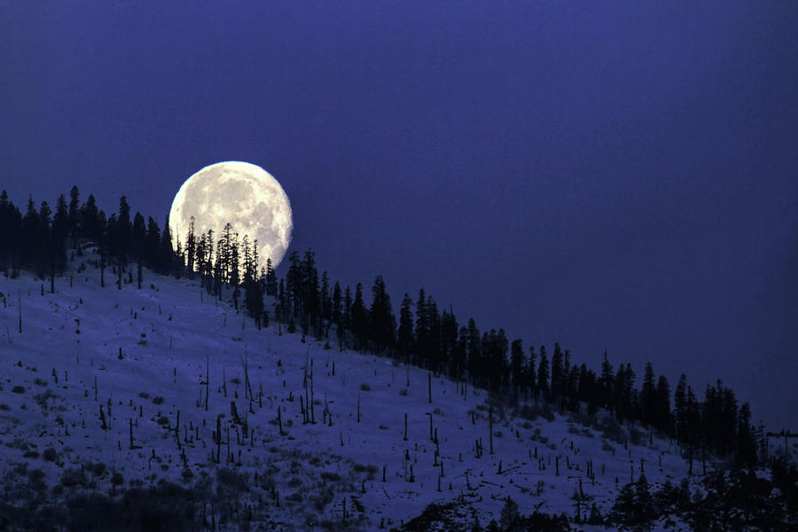 Sierra Moonset Photograph by Donna Kennedy
