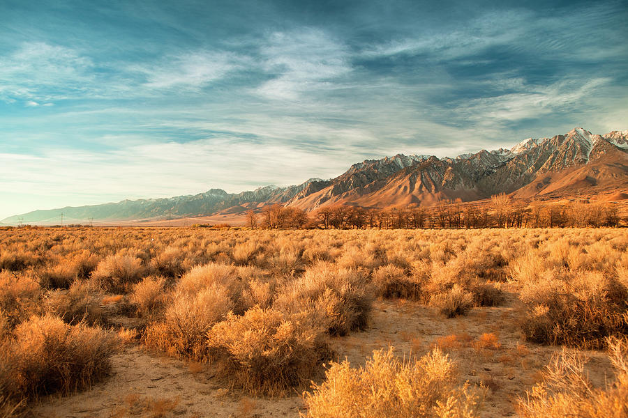 Sierra Nevada Mountains California Photograph by Pgiam