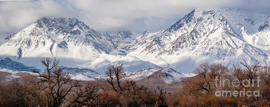 Winter Scenes Photograph - Sierra Nevadas 1.7330 by Stephen Parker