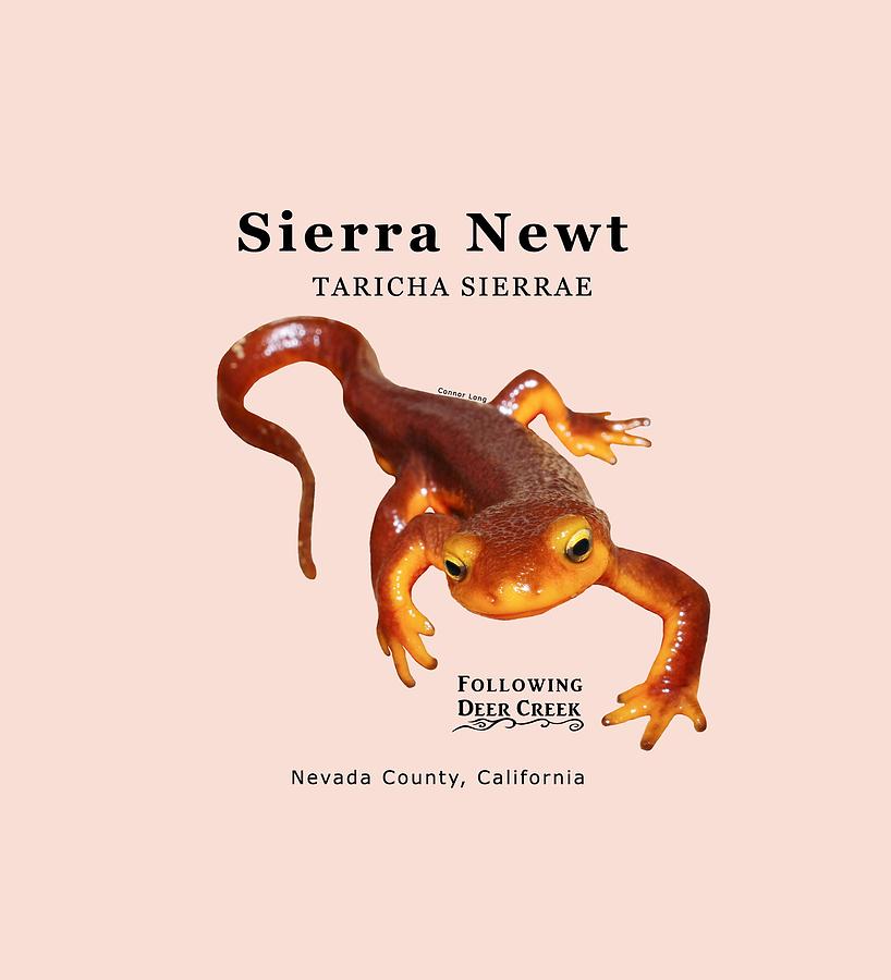 Sierra Newt - Black text Digital Art by Lisa Redfern