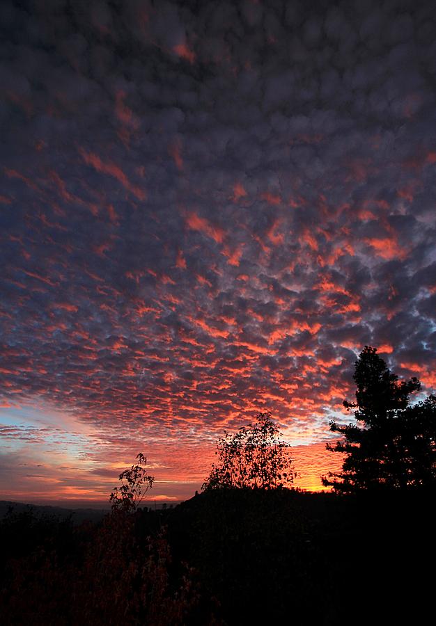 Sierra Skies Photograph by Sean Sarsfield