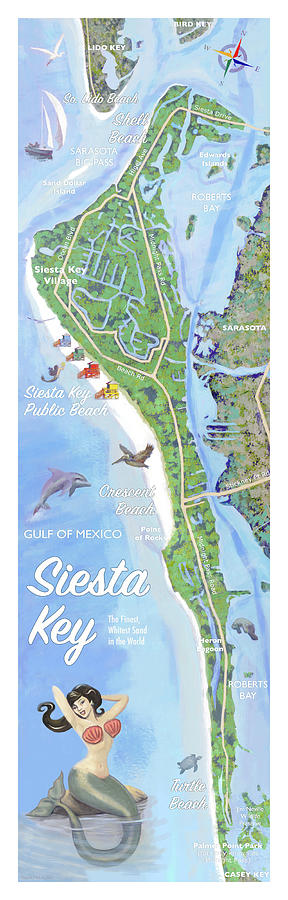 Siesta Key Illustrated Map by Shawn McLoughlin Siesta Key Illustrated Map by Shawn McLoughlin