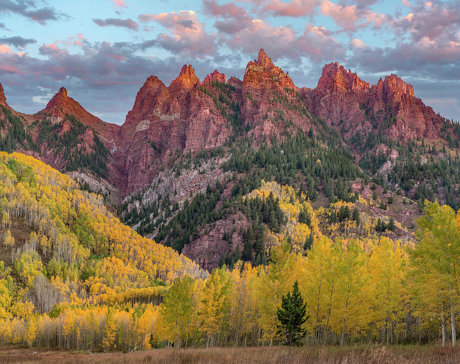 Sievers Mountain And Fall Aspens Photograph by Tim Fitzharris