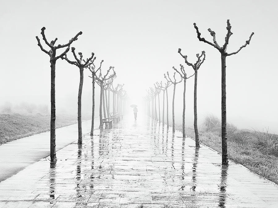 Sighs Of Winter And Solitude Photograph by Mikel Martinez de Osaba