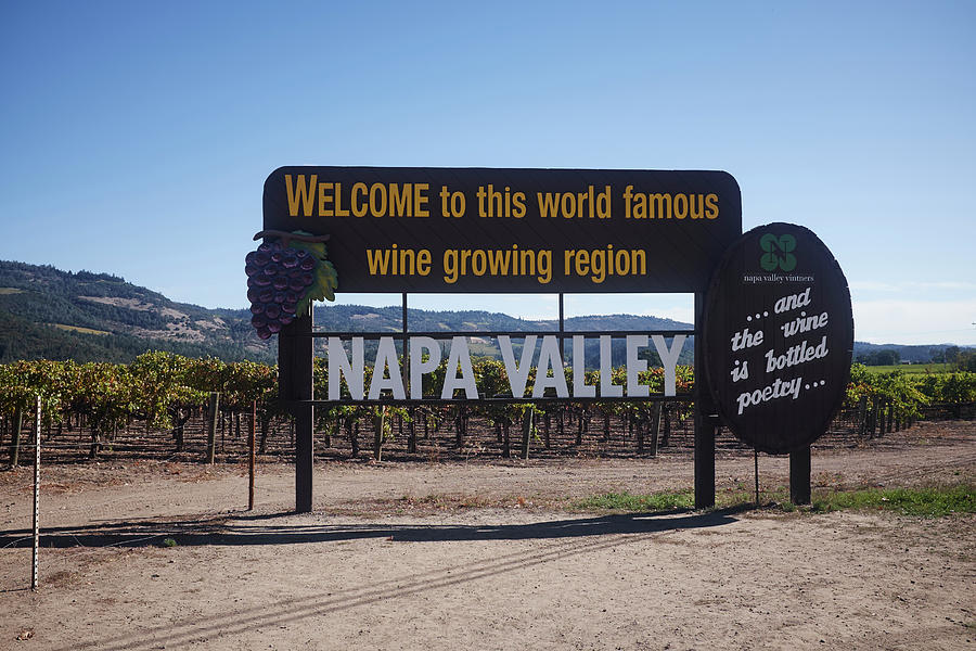 Sign For Napa Valley In Front Of Vineyard, Napa Valley, California, Usa ...