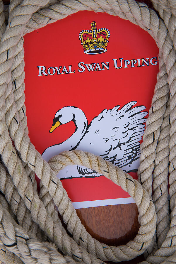 Sign For The Royal Swan Upping And Rope, The Swan Upping Is Photograph ...