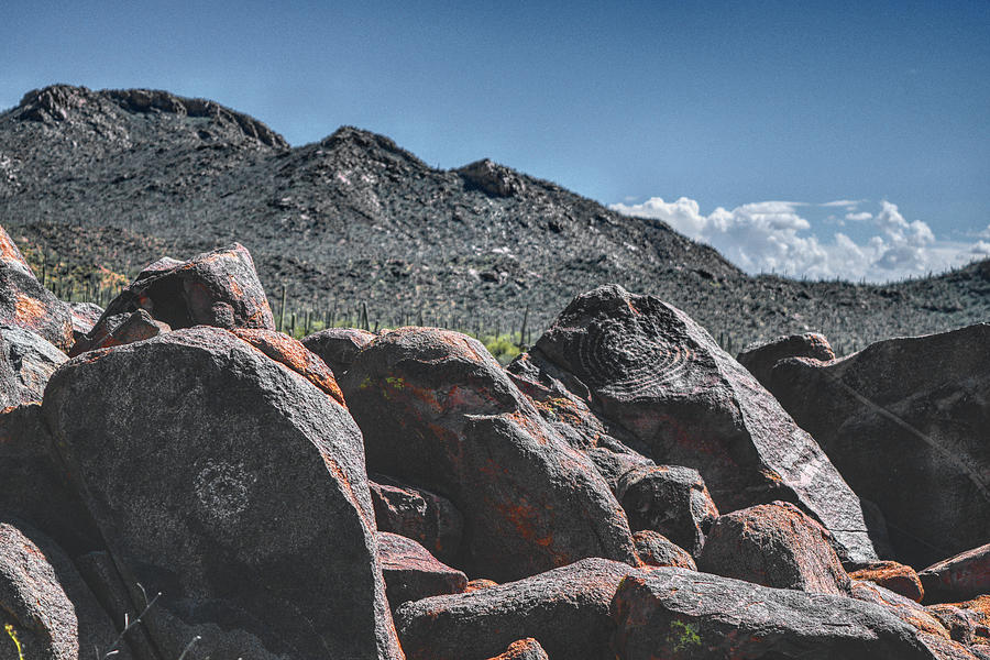 Signal Hill Petroglyphs #3 Photograph by Chance Kafka
