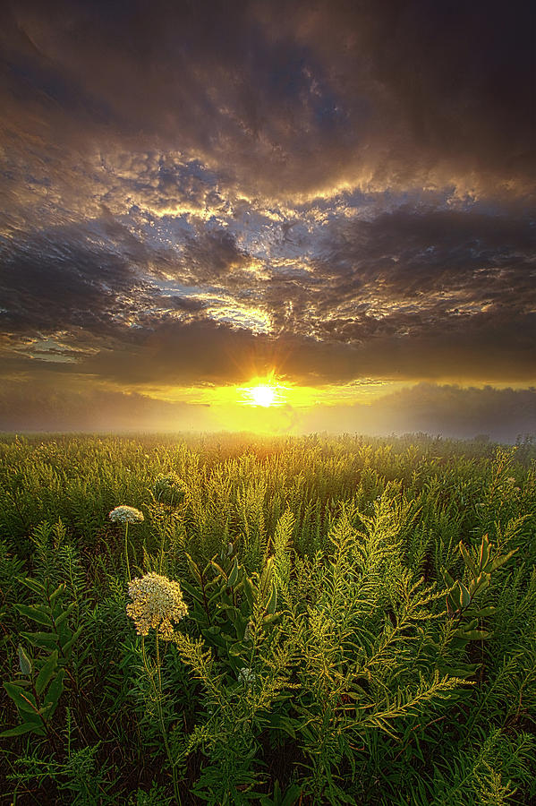 Silence Is The Language Of God Photograph by Phil Koch