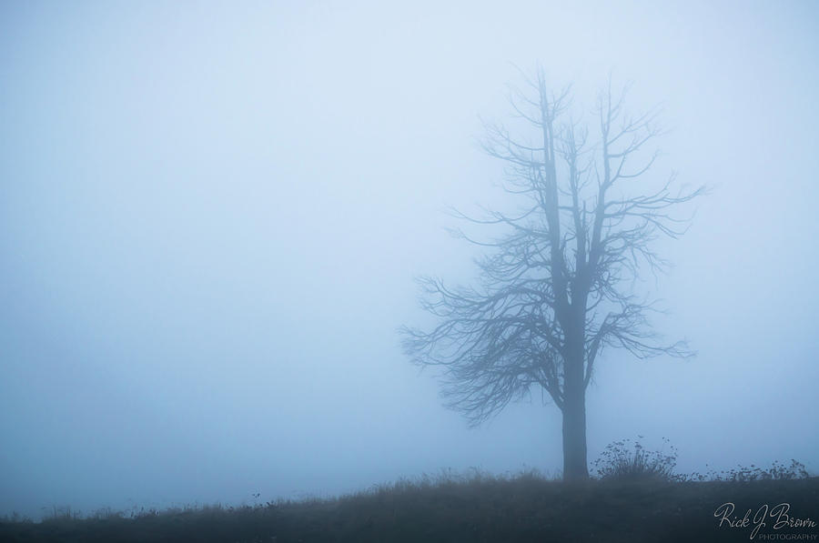 Silence by Rick J Brown Silence by Rick J Brown