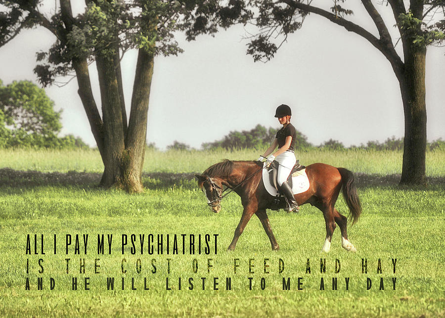 SILENT HOOFBEATS quote Photograph by Dressage Design