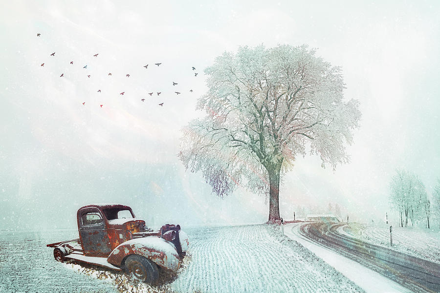 Silent in the Misty Snow Digital Art by Debra and Dave Vanderlaan