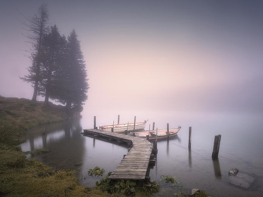 Silent Morning Photograph by Zbyszek Nowak