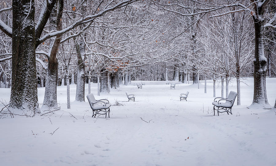 Silent Winter Photograph by Tony Pushard - Fine Art America