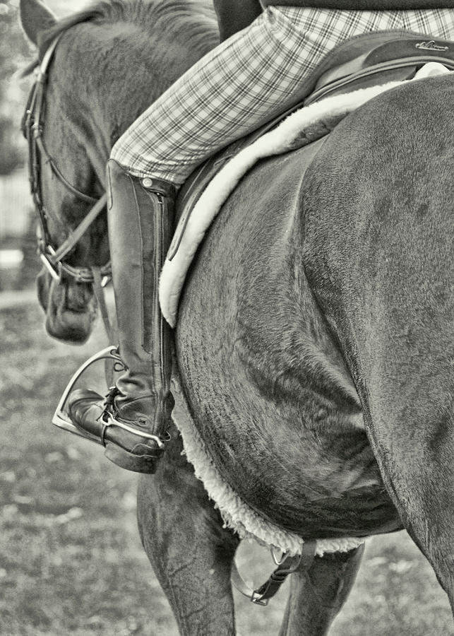 Silently Connected Photograph by Dressage Design