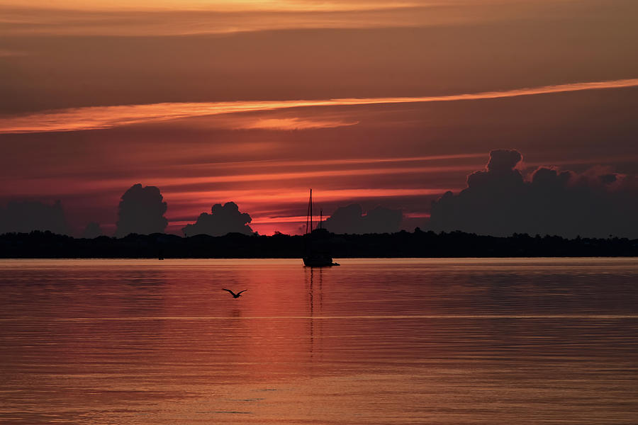 Landscape Photograph - Silhouette And Red On St Lucie River by William Tasker