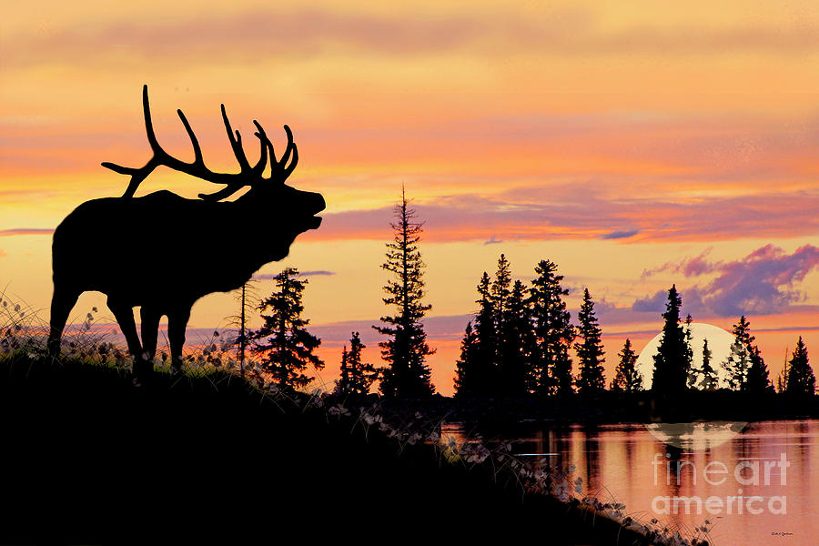 Silhouette Elk Lake Sunset Reflections Painting