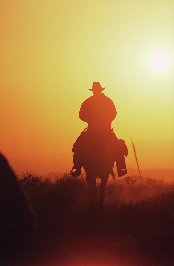 Silhouette Of A Cowboy Riding Horse Photograph by Dreampictures