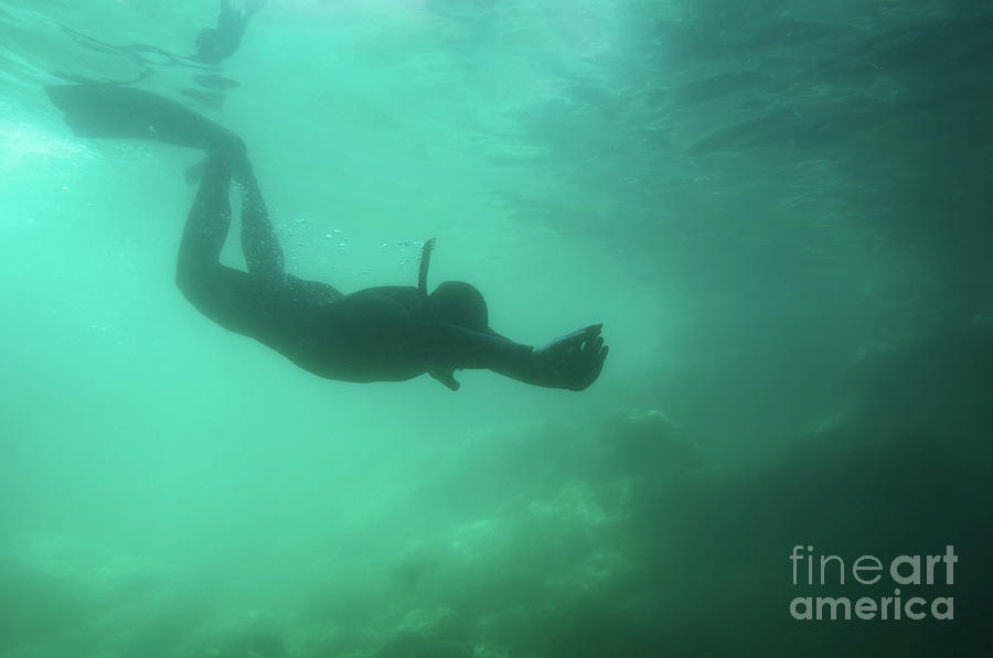 Silhouette Of A Free Diver Photograph by Science Photo Library Silhouette Of A Free Diver Photograph by Science Photo Library