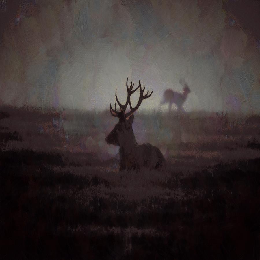 Silhouette Of A Highland Stag Painting by Taiche Acrylic Art