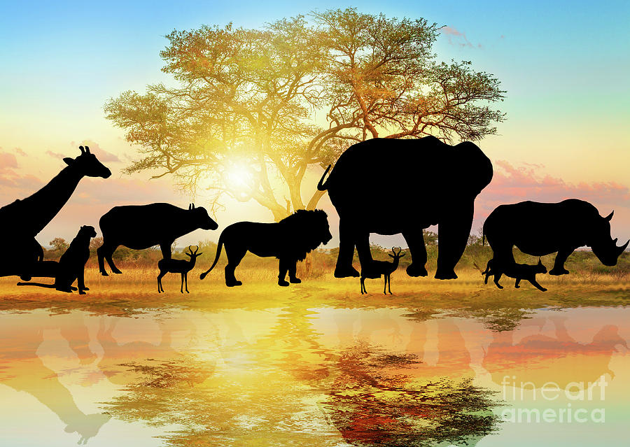 Silhouette of African Wildlife Photograph by Benny Marty