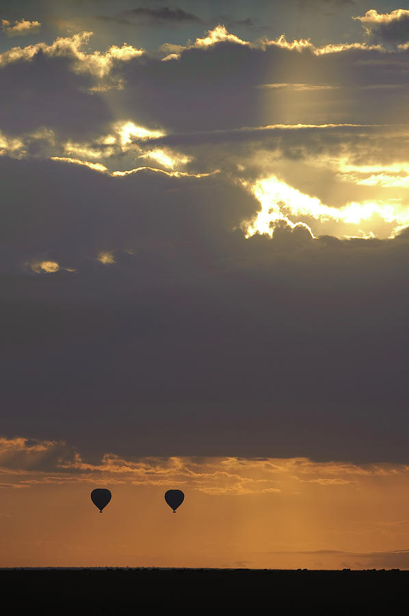 Silhouette Of Hot Air Balloons In Sky Photograph by Shem Compion