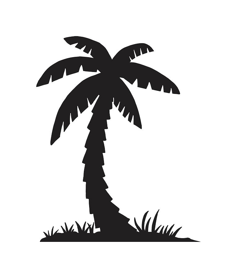 Silhouette of Palm Tree Drawing by CSA Images - Fine Art America