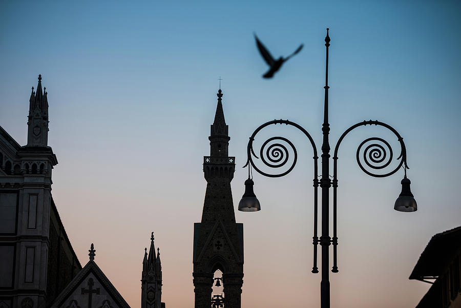 Silhouette Of Streetlights And Cathedral Digital Art by Howard Bartrop ...