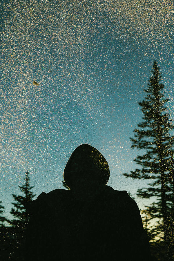 Tree Photograph - Silhouette Of Teen With Snow Flakes In Golden Light In Forest by Cavan Images / Anna Rasmussen Photographs