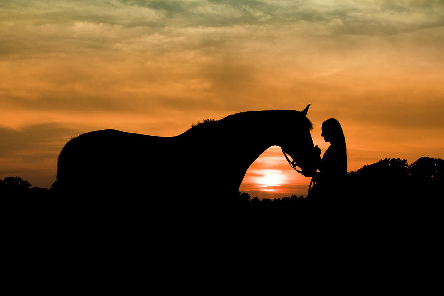 Silhouette Of Teenage Girl And Horse Together At Sunset Photograph by ...