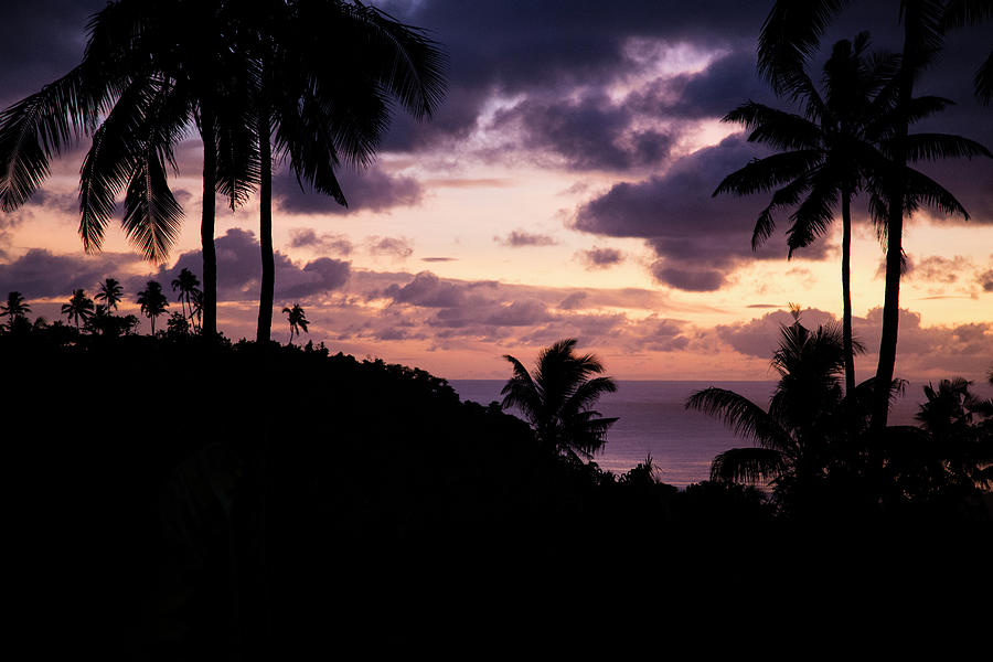 Sunset Photograph - Silhouette Of Tropical Plants During Pink Sunrise, Samoa by Cavan Images