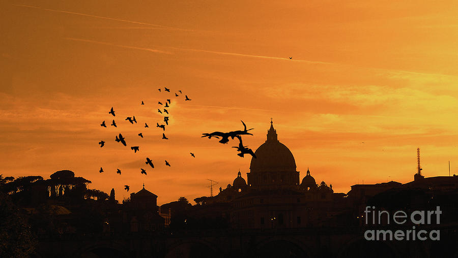 Silhouette - St. Peters Basilica at sunset  Photograph by Stefano Senise