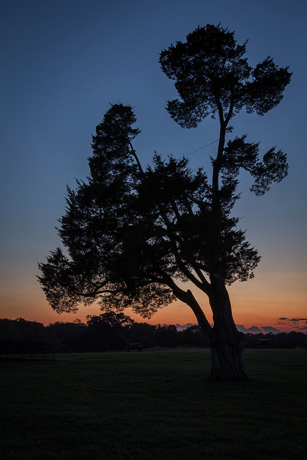 Silhouette Photograph by Tom Weisbrook