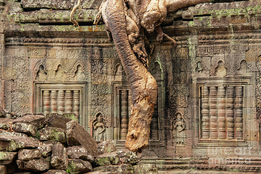 Silk-Cotton Tree Root and Preah Khan Temple Photograph by Bob Phillips