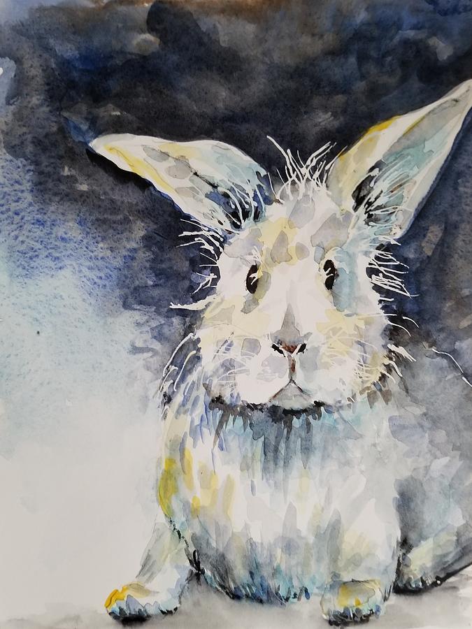 Silly Rabbit by Lettie Neuhauser-MacLachlan Silly Rabbit by Lettie Neuhauser-MacLachlan