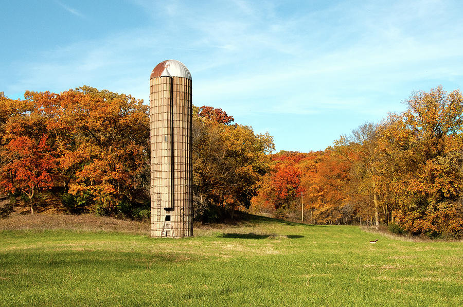 Silo In Fall Photograph By Steve Stuller Pixels