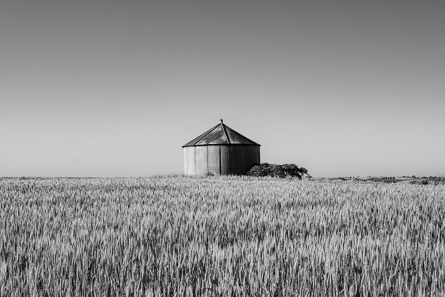 Silo in Wheat Photograph by Hillis Creative
