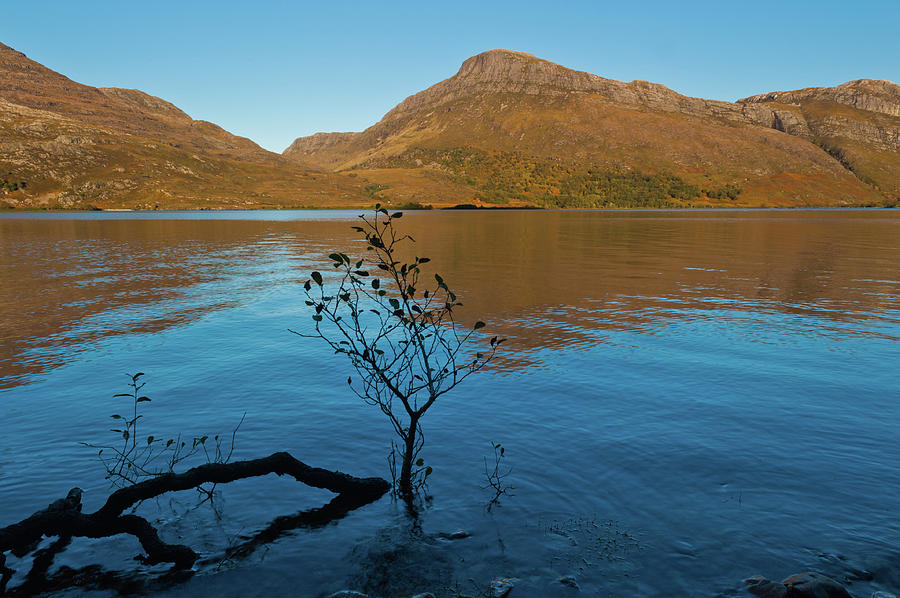 Slioch and Loch Maree Photograph by David Ross