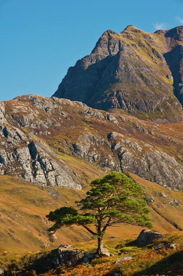 Slioch, Wester Ross, Scottish Highlands Photograph by David Ross
