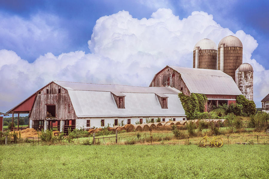 Silos in Country Colors Photograph by Debra and Dave Vanderlaan