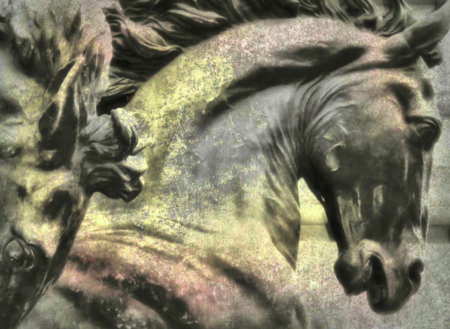Silver And Gold Art Photograph by Dressage Design