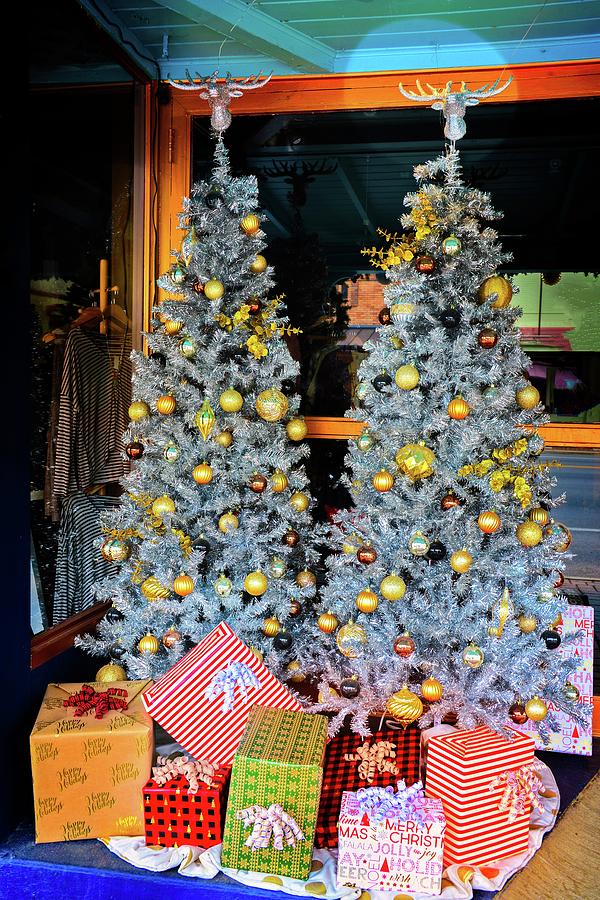 Silver and Gold Christmas on Main Street Photograph by Lynn Bauer