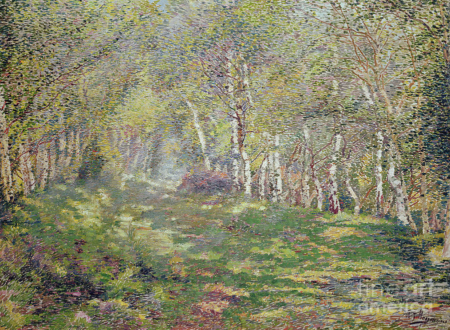 Silver Birches Painting by Adriaan Josef Heymans